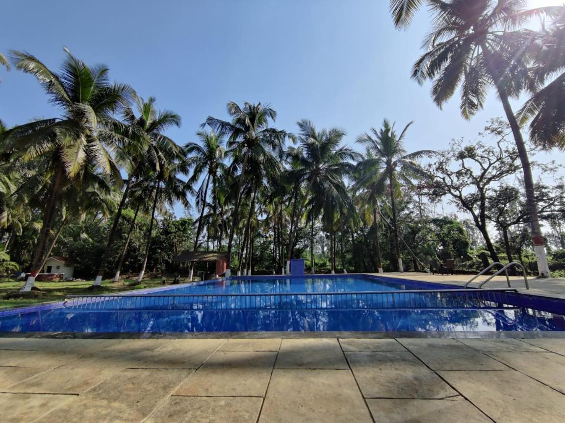 White House Beach Resort, Nagaon Extérieur photo